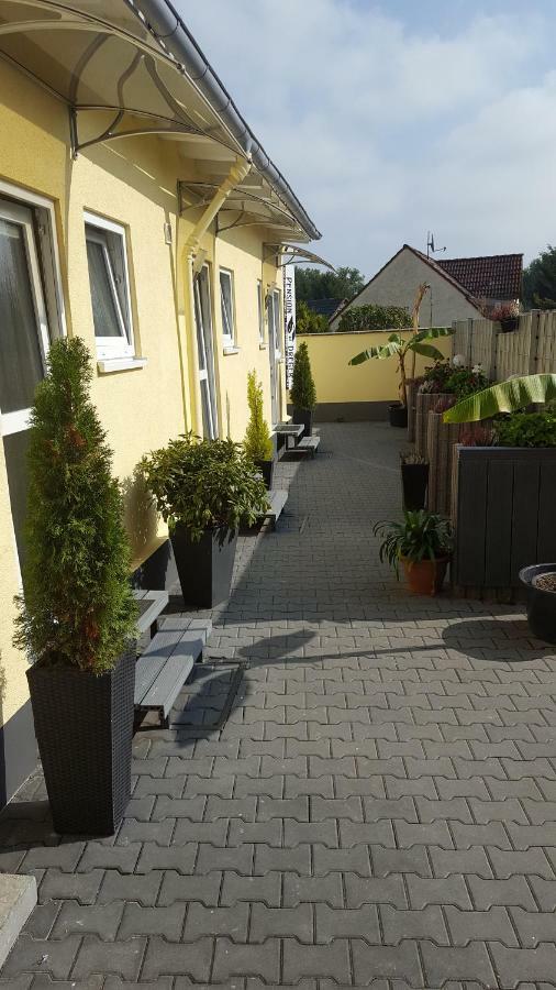 Pension Dreger Freimersheim  Экстерьер фото